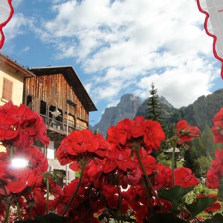 Dolomites Holidays Selva di Cadore Oda fotoğraf