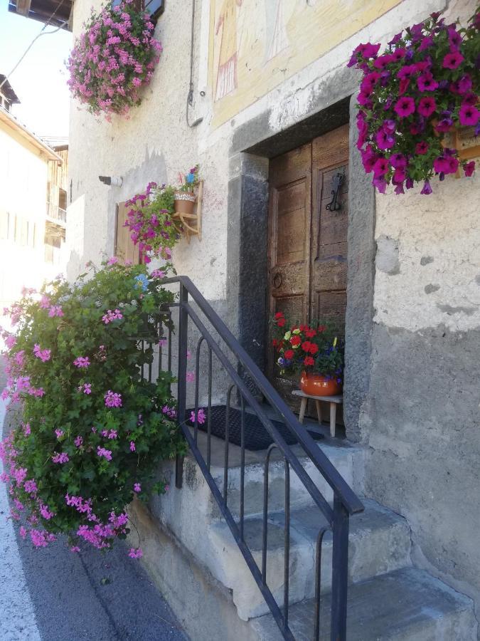 Dolomites Holidays Selva di Cadore Dış mekan fotoğraf