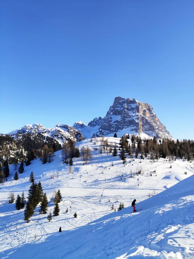 Dolomites Holidays Selva di Cadore Dış mekan fotoğraf
