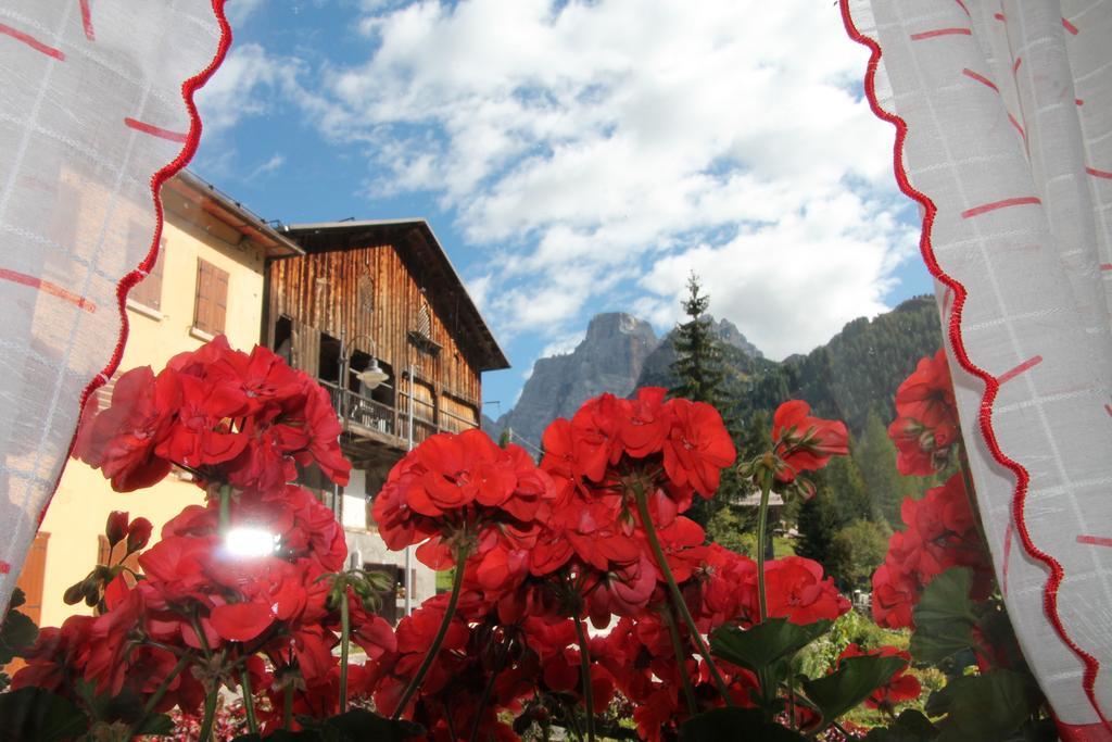 Dolomites Holidays Selva di Cadore Oda fotoğraf